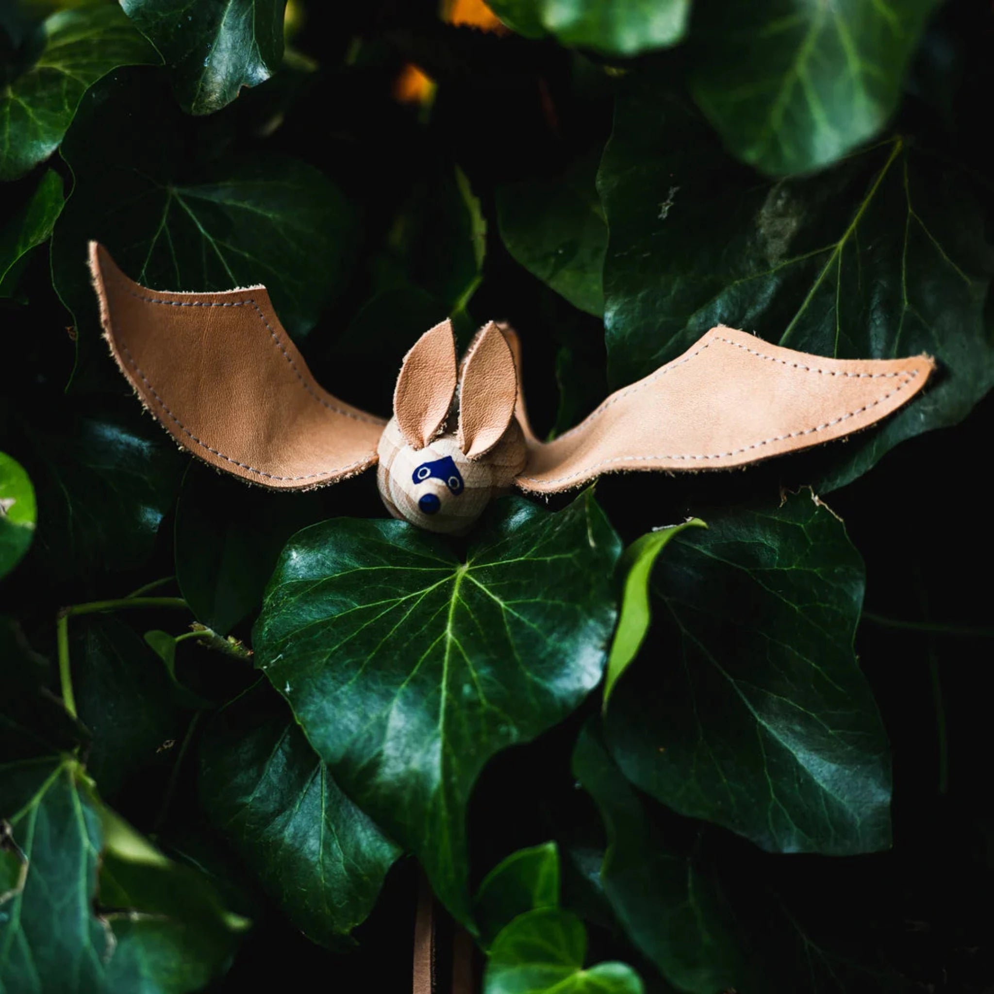 Eperfa Big-Eared Bat