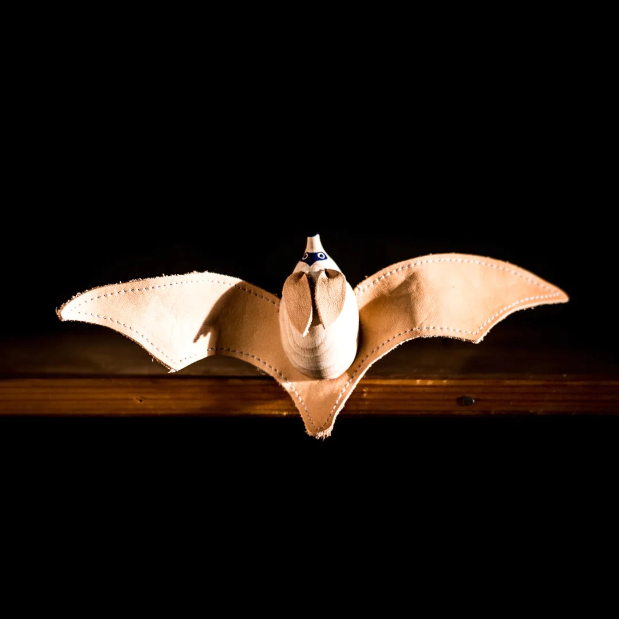 Eperfa Big-Eared Bat