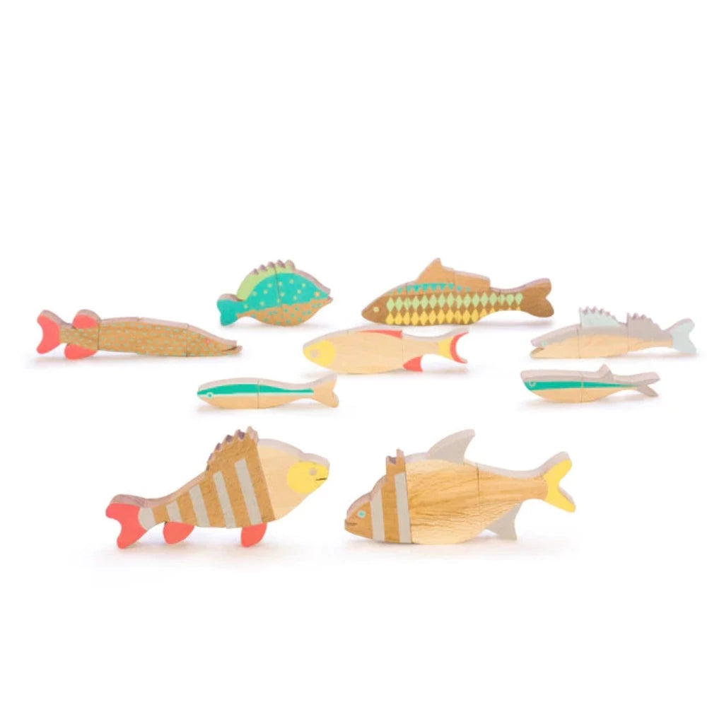 Eperfa Magnetic Fish Puzzle