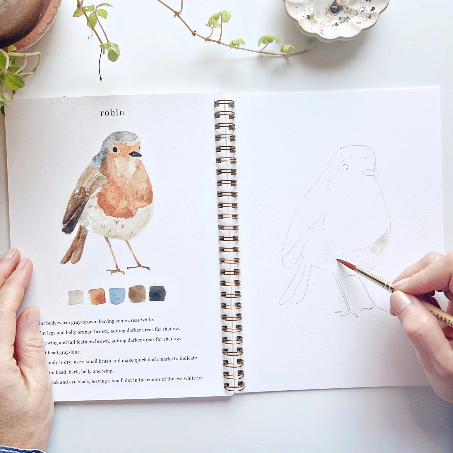 Watercolor Paintings  Workbook