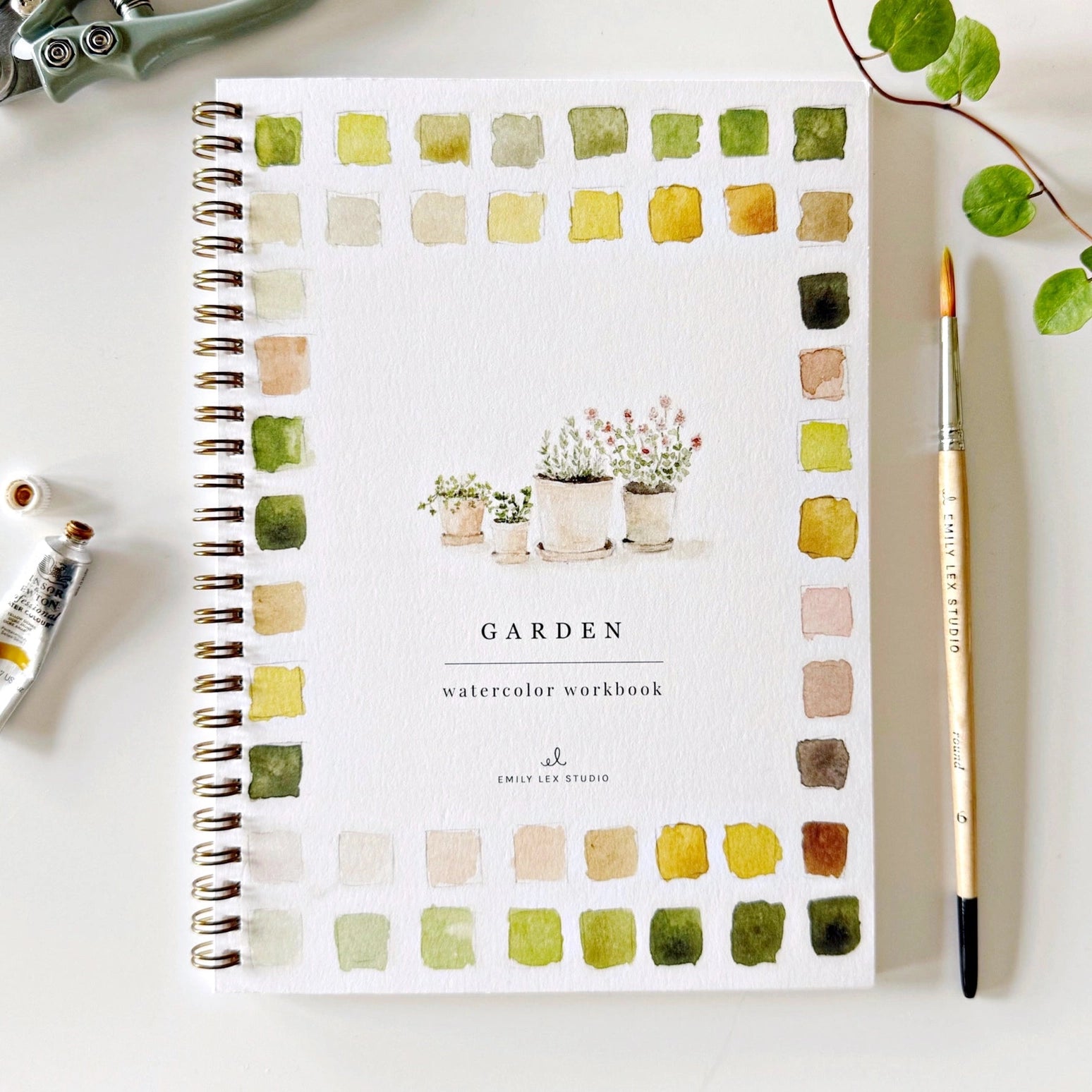 Watercolor Paintings  Workbook