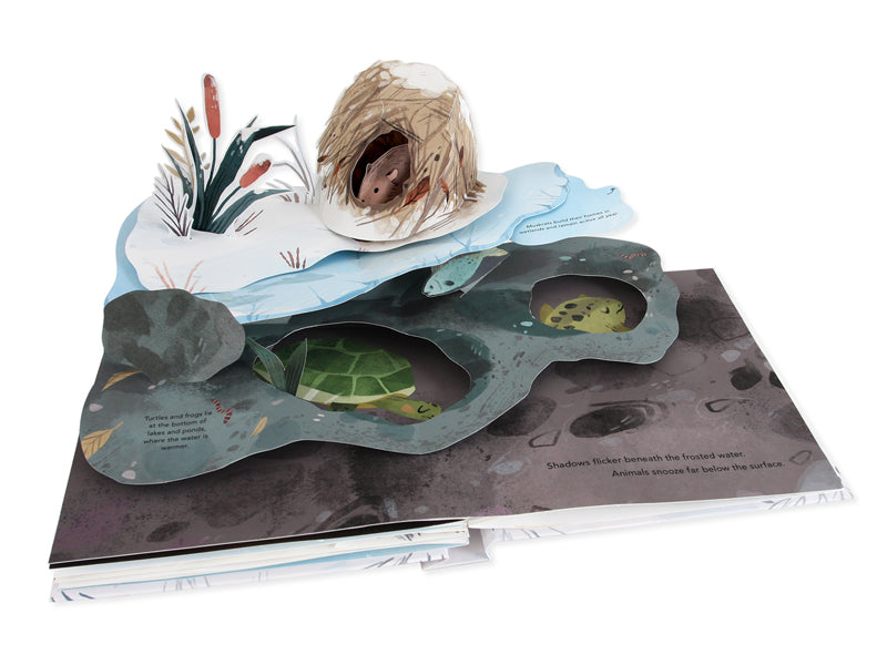 Snowscape Pop Up Book