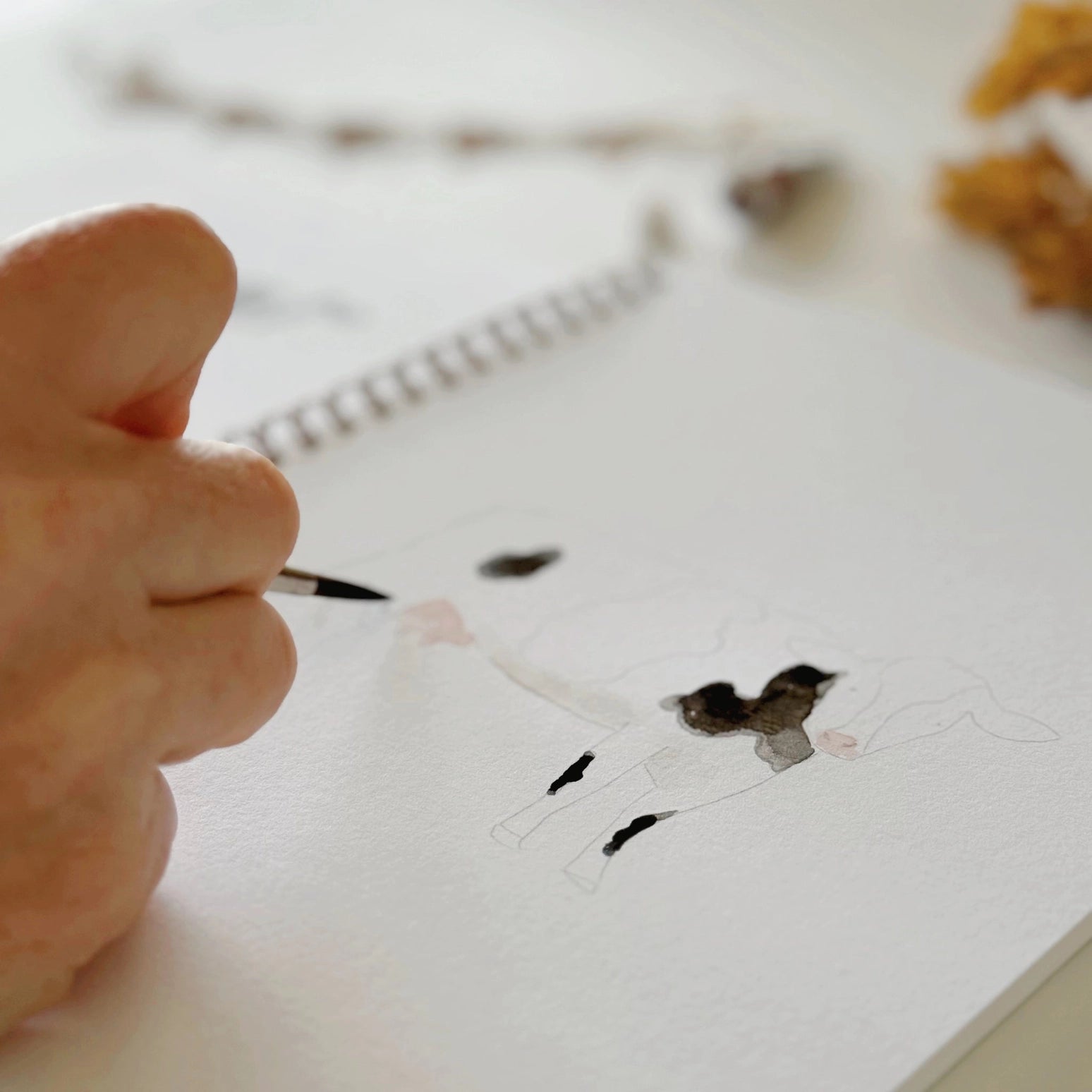 Watercolor Paintings  Workbook