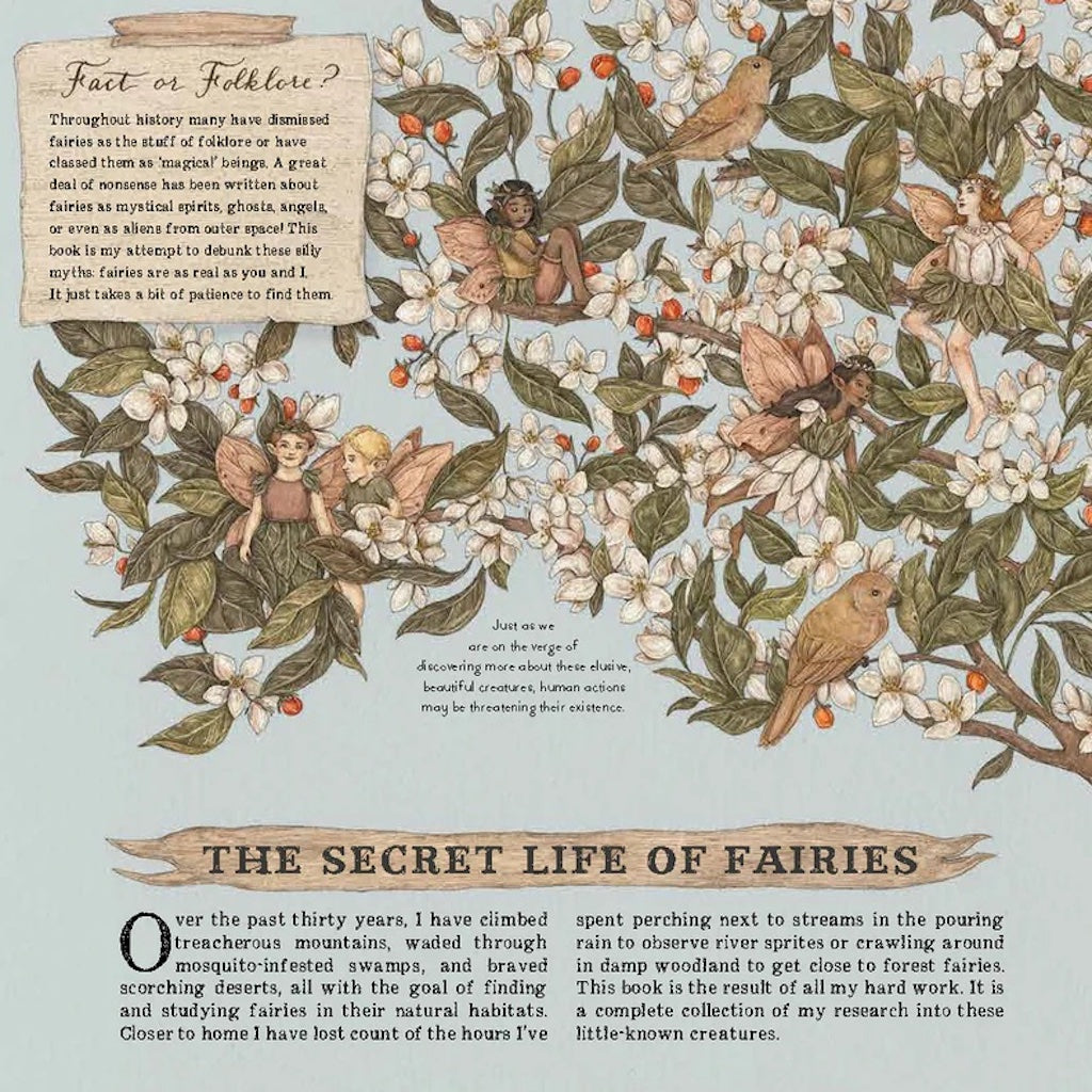 A Natural History of Fairies