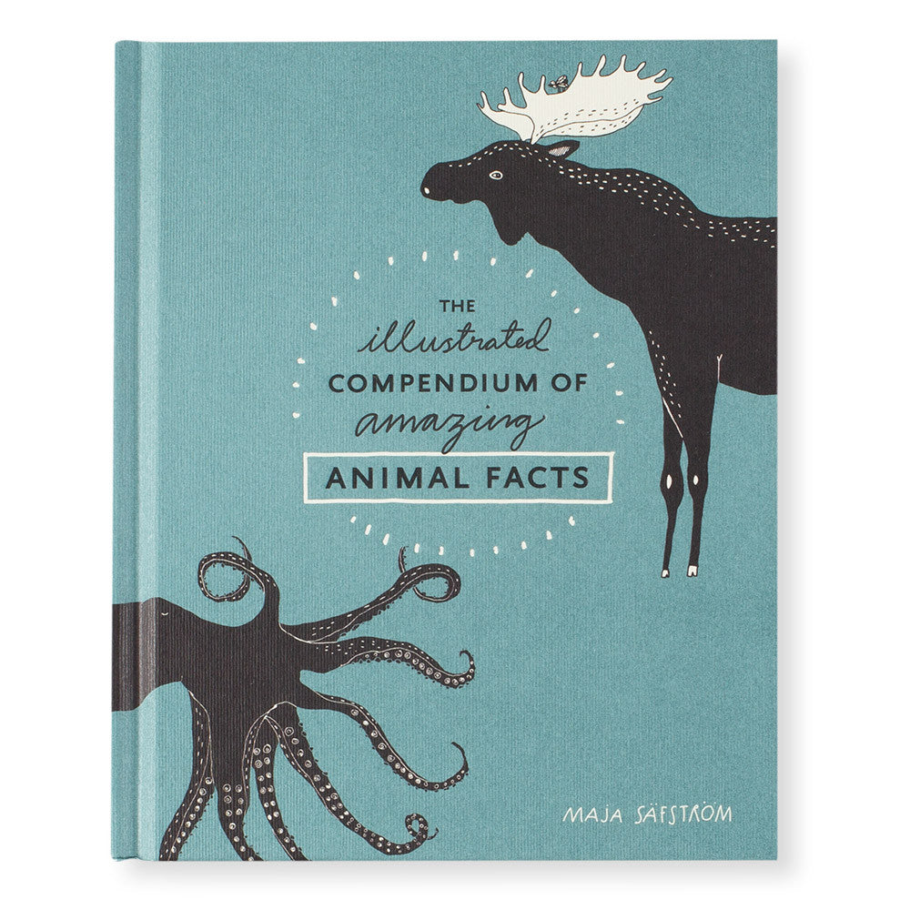Animal Compendium Example Nova Natural Toys & Crafts- World of natural toys, crafts and unique ...